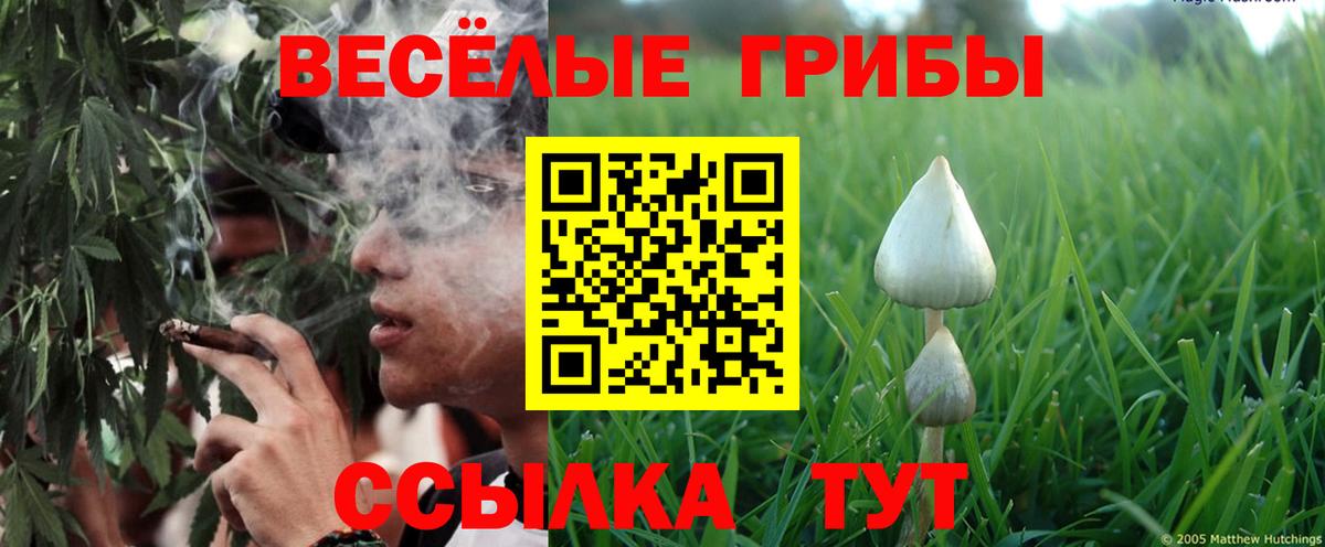 Галлюциногенные грибы Cubensis Балашиха
